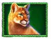 Cougar Symbol