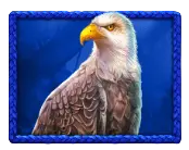 Eagle Symbol